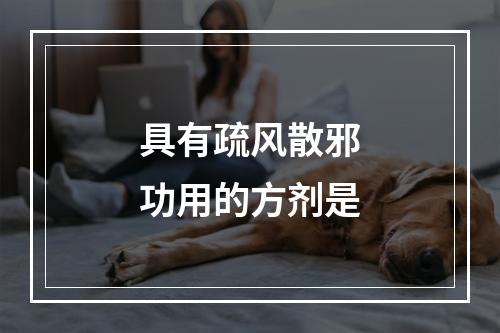 具有疏风散邪功用的方剂是