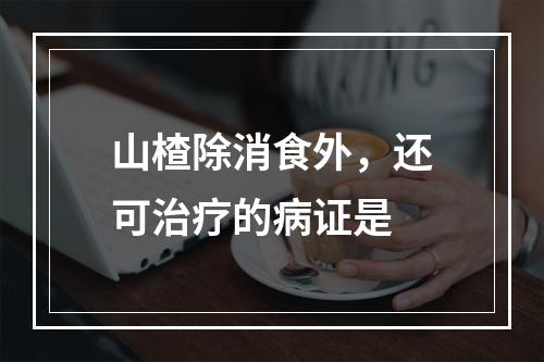 山楂除消食外，还可治疗的病证是