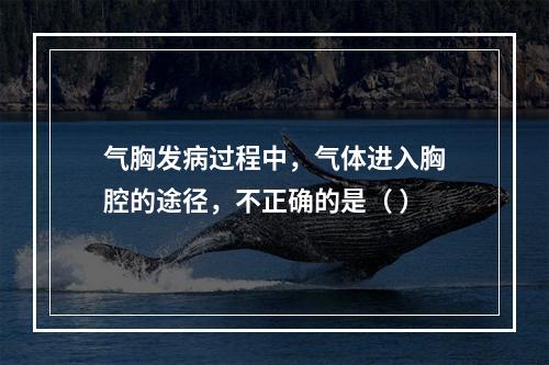 气胸发病过程中，气体进入胸腔的途径，不正确的是（ ）