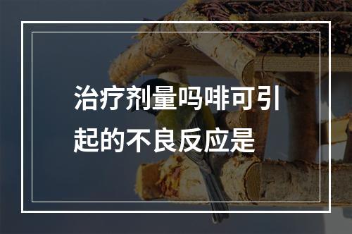 治疗剂量吗啡可引起的不良反应是