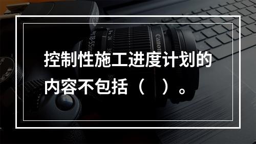 控制性施工进度计划的内容不包括（　）。