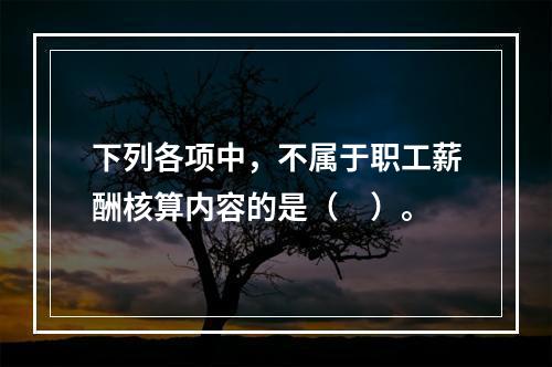 下列各项中，不属于职工薪酬核算内容的是（　）。