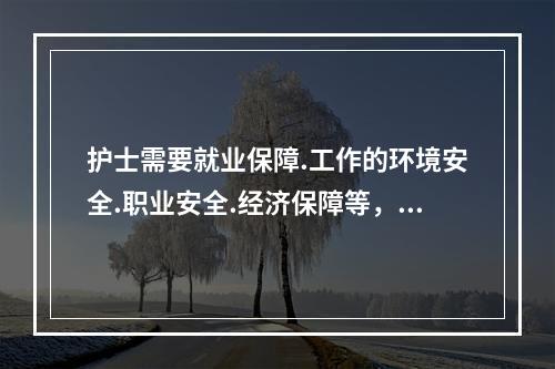 护士需要就业保障.工作的环境安全.职业安全.经济保障等，这些