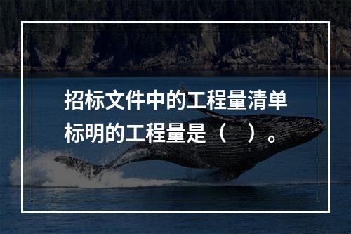 招标文件中的工程量清单标明的工程量是（　）。