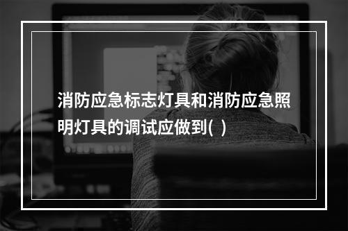 消防应急标志灯具和消防应急照明灯具的调试应做到(  )