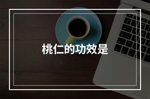 桃仁的功效是