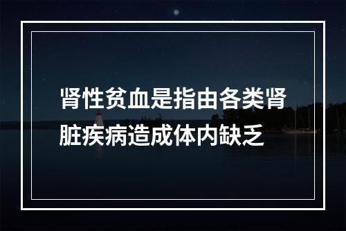 肾性贫血是指由各类肾脏疾病造成体内缺乏