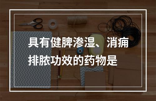 具有健脾渗湿、消痈排脓功效的药物是