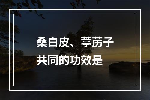 桑白皮、葶苈子共同的功效是