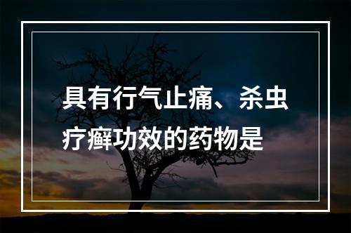 具有行气止痛、杀虫疗癣功效的药物是