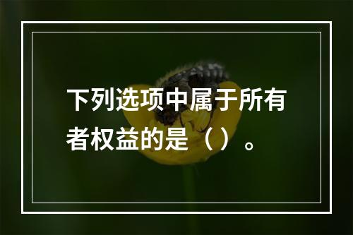 下列选项中属于所有者权益的是（ ）。