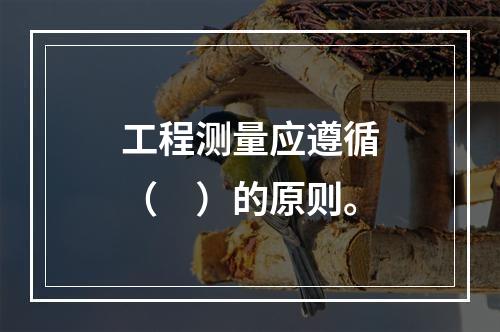 工程测量应遵循（　）的原则。