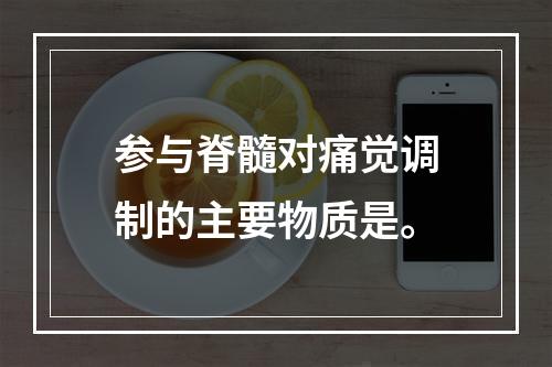 参与脊髓对痛觉调制的主要物质是。