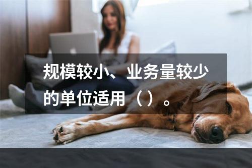 规模较小、业务量较少的单位适用（ ）。