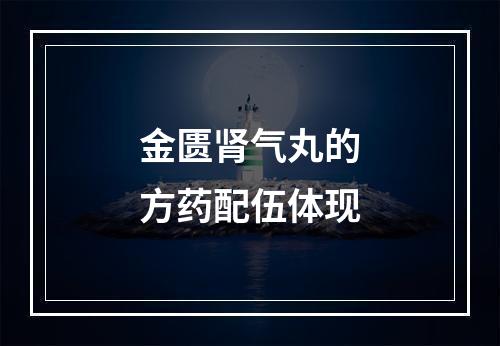 金匮肾气丸的方药配伍体现