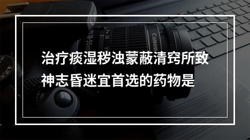 治疗痰湿秽浊蒙蔽清窍所致神志昏迷宜首选的药物是