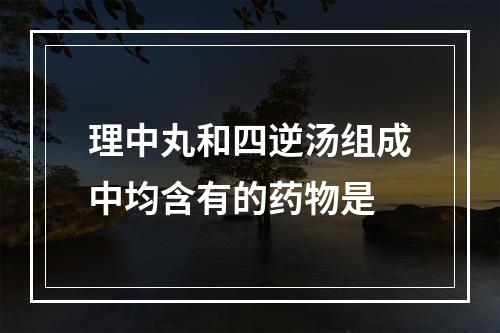 理中丸和四逆汤组成中均含有的药物是