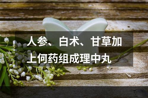 人参、白术、甘草加上何药组成理中丸