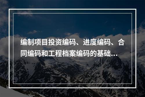 编制项目投资编码、进度编码、合同编码和工程档案编码的基础是（