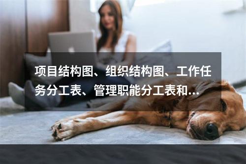 项目结构图、组织结构图、工作任务分工表、管理职能分工表和工作