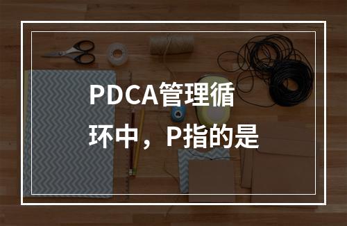 PDCA管理循环中，P指的是