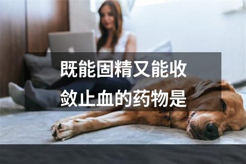 既能固精又能收敛止血的药物是