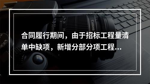 合同履行期间，由于招标工程量清单中缺项，新增分部分项工程清单