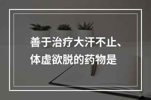 善于治疗大汗不止、体虚欲脱的药物是