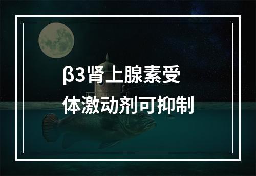 β3肾上腺素受体激动剂可抑制