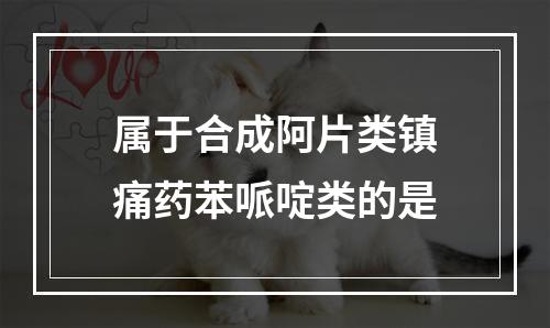 属于合成阿片类镇痛药苯哌啶类的是