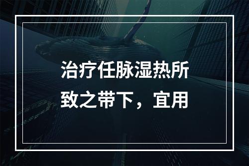 治疗任脉湿热所致之带下，宜用