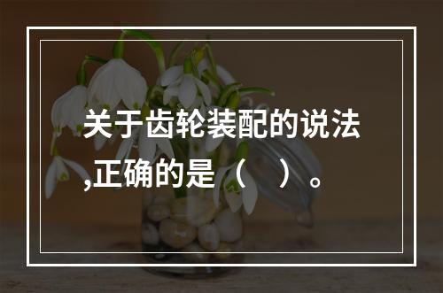 关于齿轮装配的说法,正确的是（　）。