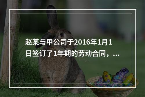 赵某与甲公司于2016年1月1日签订了1年期的劳动合同，20