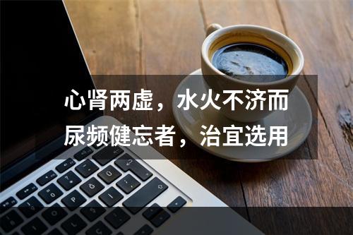 心肾两虚，水火不济而尿频健忘者，治宜选用