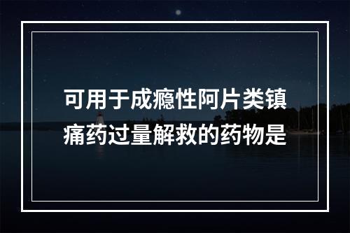 可用于成瘾性阿片类镇痛药过量解救的药物是