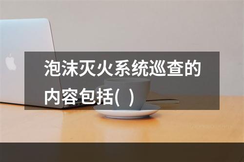 泡沫灭火系统巡查的内容包括(  )