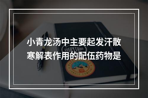 小青龙汤中主要起发汗散寒解表作用的配伍药物是