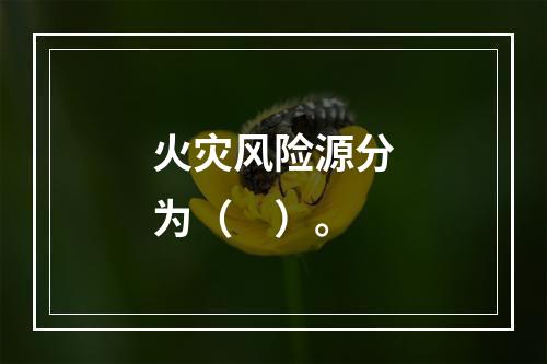 火灾风险源分为（　）。