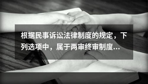 根据民事诉讼法律制度的规定，下列选项中，属于两审终审制度例外