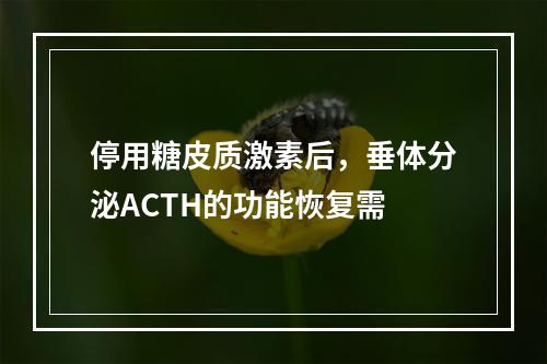 停用糖皮质激素后，垂体分泌ACTH的功能恢复需