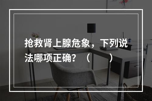 抢救肾上腺危象，下列说法哪项正确？（　　）