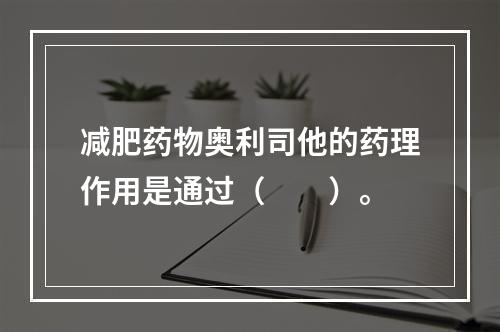 减肥药物奥利司他的药理作用是通过（　　）。