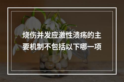 烧伤并发应激性溃疡的主要机制不包括以下哪一项