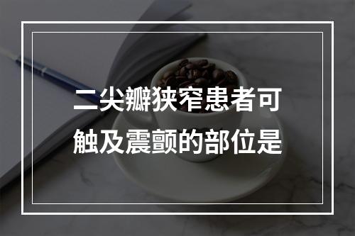 二尖瓣狭窄患者可触及震颤的部位是