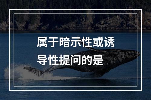 属于暗示性或诱导性提问的是