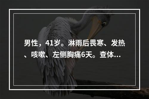 男性，41岁。淋雨后畏寒、发热、咳嗽、左侧胸痛6天。查体：左