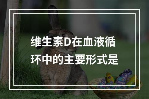 维生素D在血液循环中的主要形式是