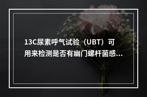 13C尿素呼气试验（UBT）可用来检测是否有幽门螺杆菌感染，