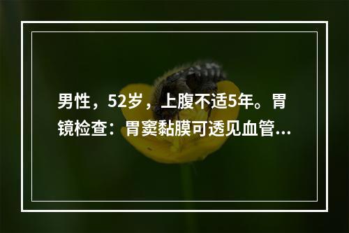 男性，52岁，上腹不适5年。胃镜检查：胃窦黏膜可透见血管网，