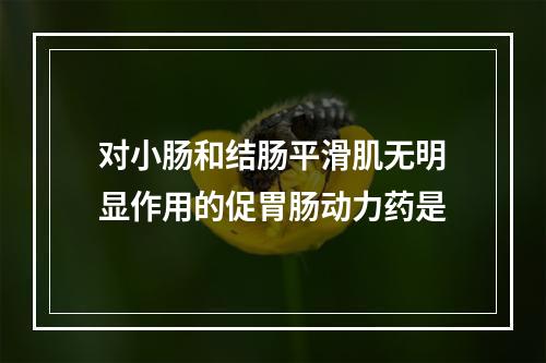 对小肠和结肠平滑肌无明显作用的促胃肠动力药是